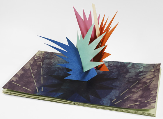 image from artists' book